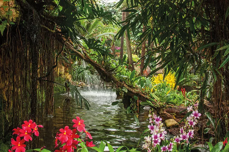 Optreden in Luttelgeest bij Pantropica